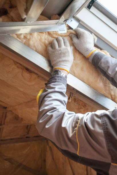 Best Residential Insulation in Tupelo, MS